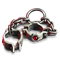 1895s.png